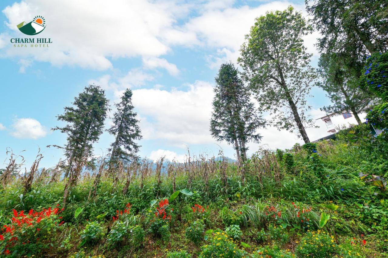 Charm Hill Sapa Hotel Экстерьер фото
